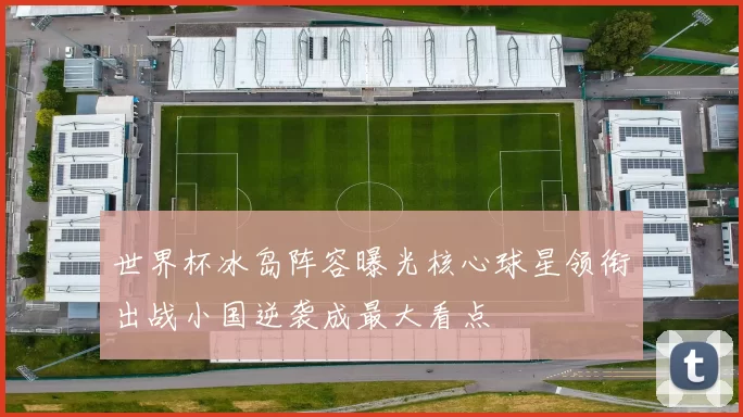 世界杯冰岛阵容曝光核心球星领衔出战小国逆袭成最大看点