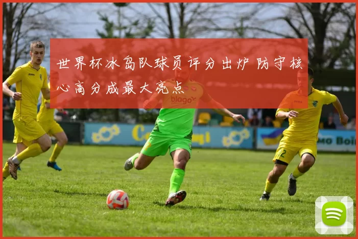 世界杯冰岛队球员评分出炉 防守核心高分成最大亮点