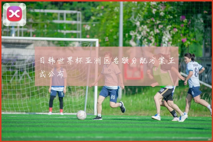 日韩世界杯亚洲区名额分配方案正式公布